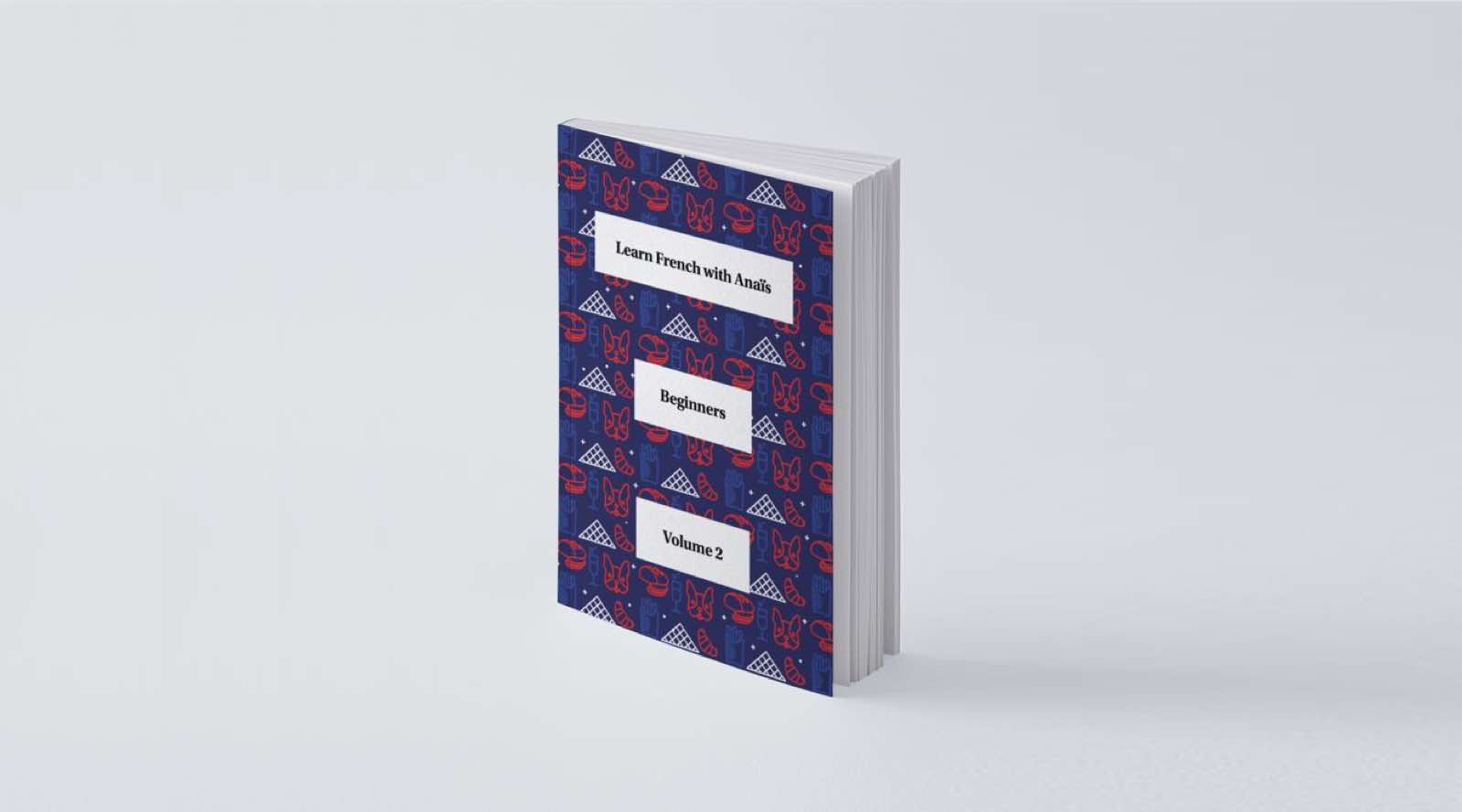 Book beginners vol.2 visual