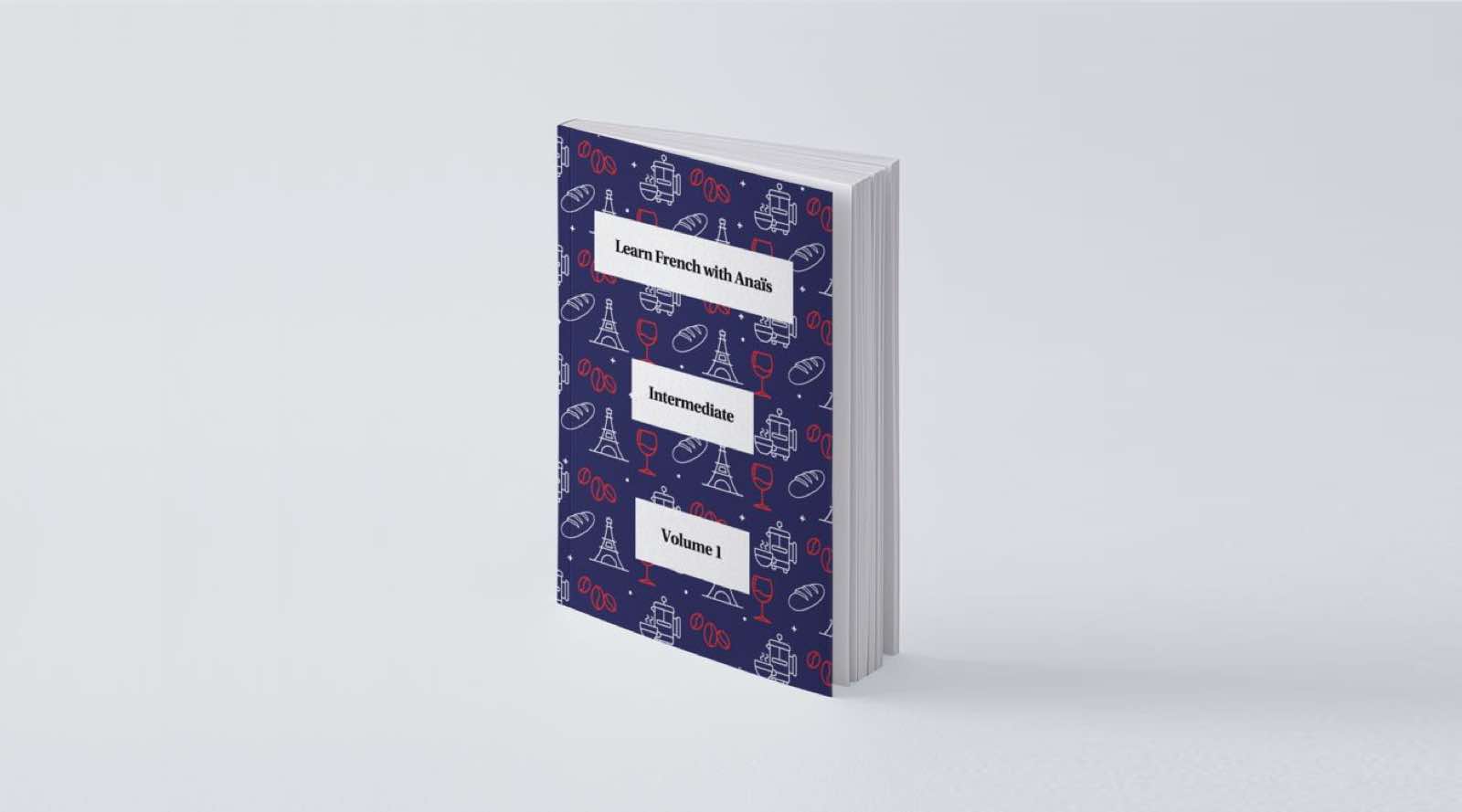 book intermediate vol.1 visual