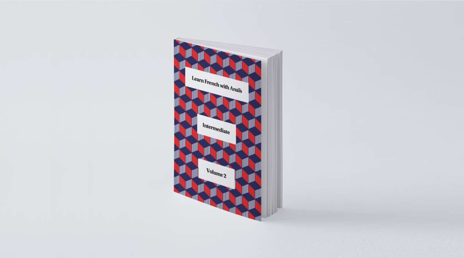 book intermediate vol.2 visual